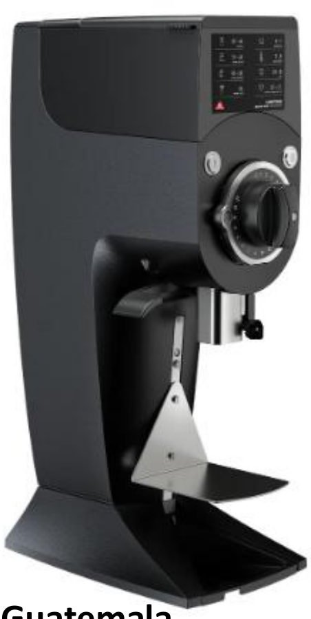 MAHLKONIG Guatemala