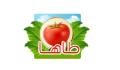 العربی